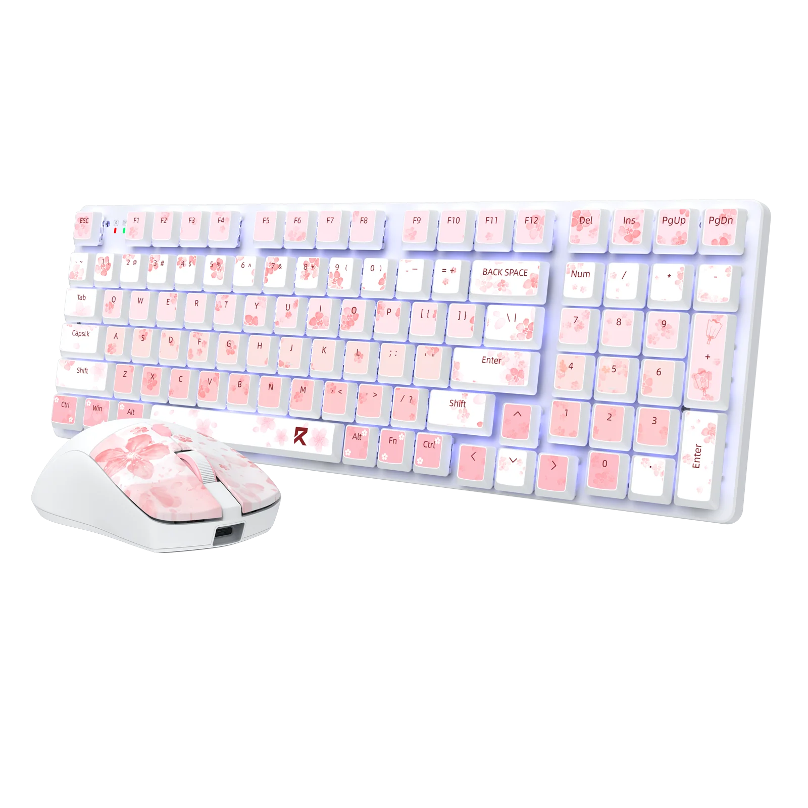 BS7552 Wireless Keyboard and Mouse Combo - Image 11