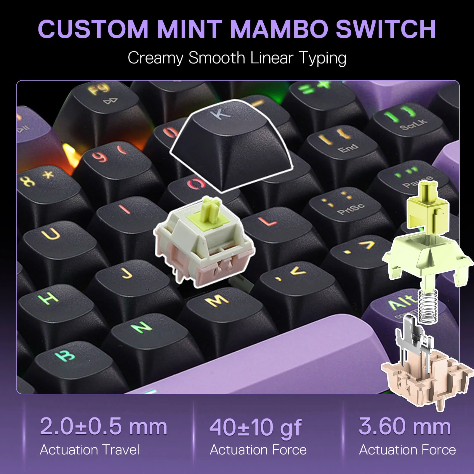 DHARMA K740 PRO - Image 7
