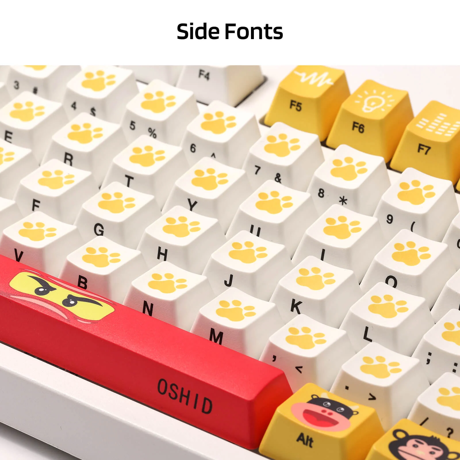 (Only Keycaps) Redragon X LTC 108-Key OEM Profile PBT Double Shot Keycaps - Image 4
